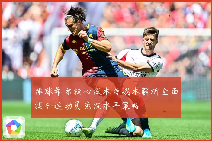 排球希尔核心技术与战术解析全面提升运动员竞技水平策略