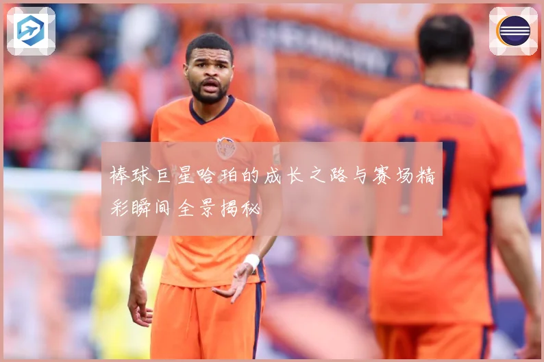 棒球巨星哈珀的成长之路与赛场精彩瞬间全景揭秘