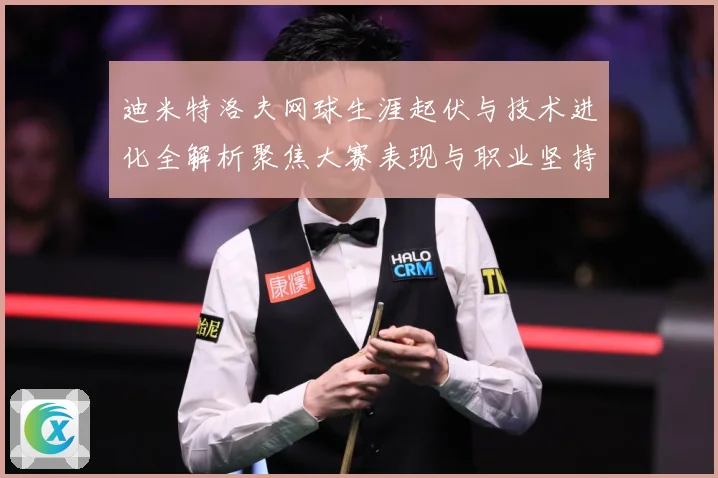 迪米特洛夫网球生涯起伏与技术进化全解析聚焦大赛表现与职业坚持之路